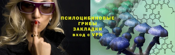 винт Алексеевка