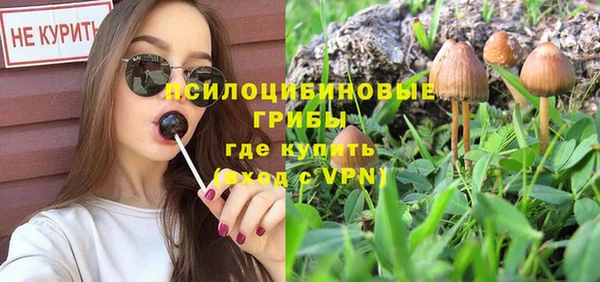 винт Алексеевка