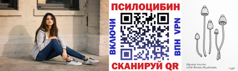 omg ссылка  Большой Камень  Псилоцибиновые грибы Cubensis  закладки 